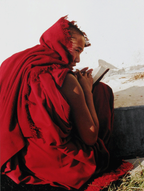 3ème Nonnes surprises au NEPAL Par Mr Daniel YSABELLE